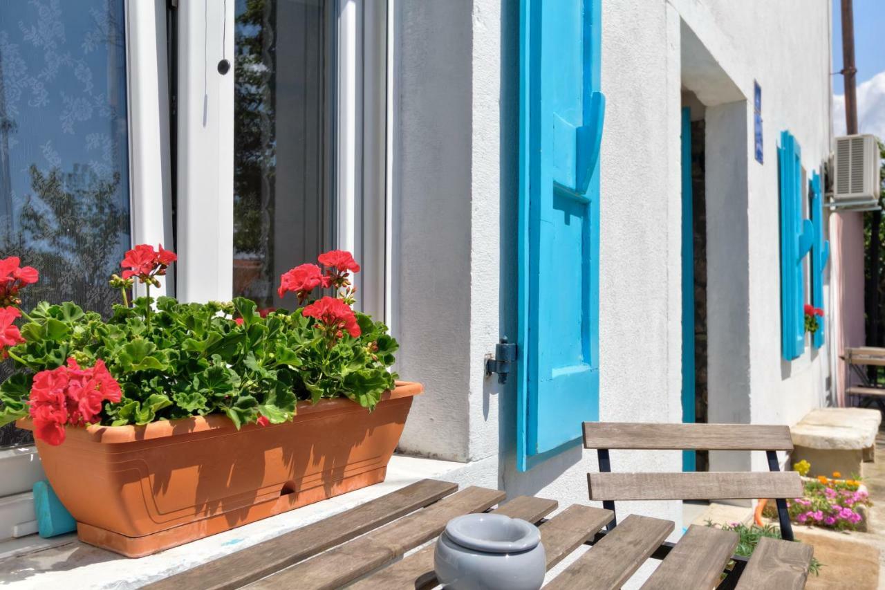 Apartmani Anna Umag Bagian luar foto